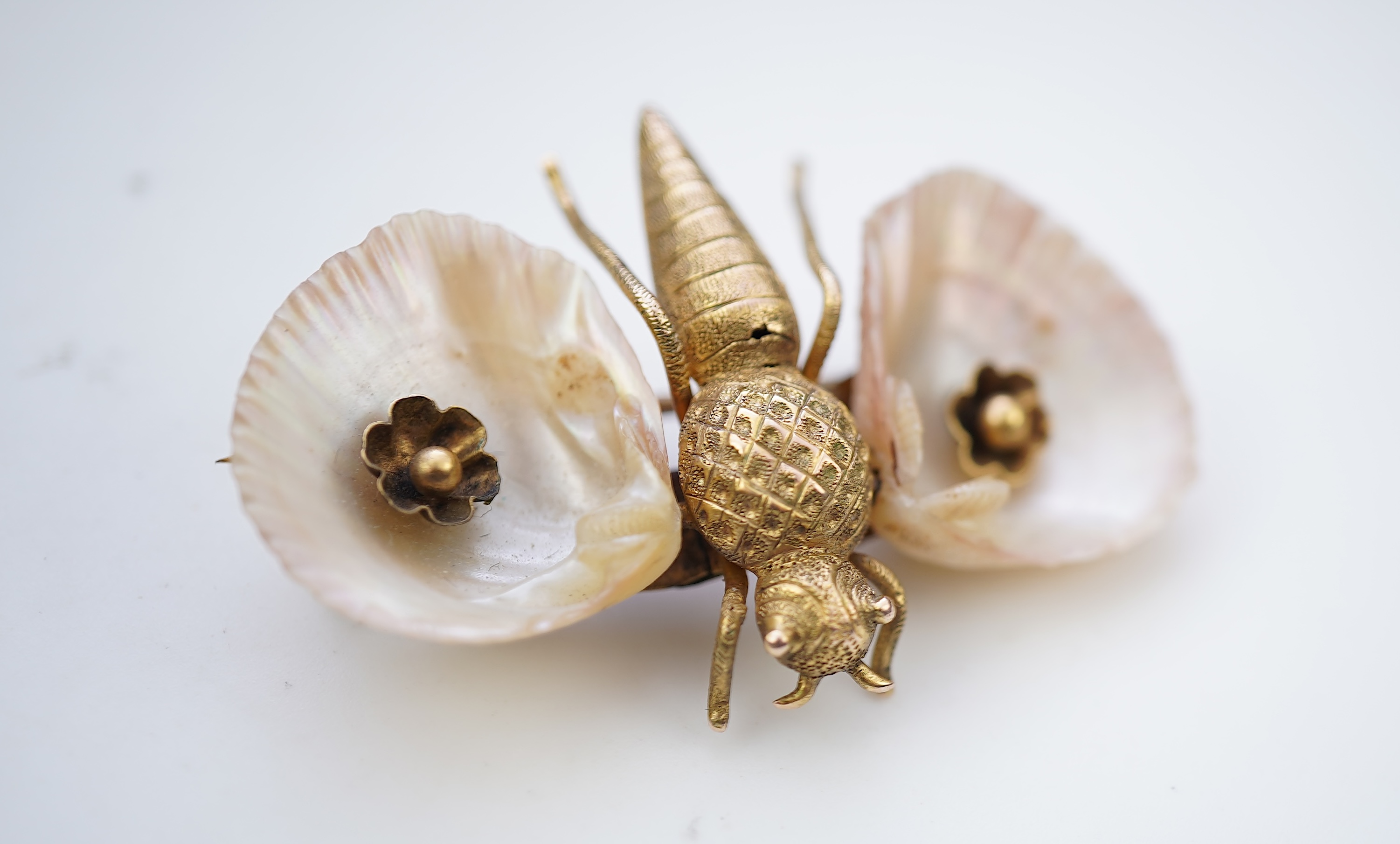 A gold and shell brooch, late 19th century composite